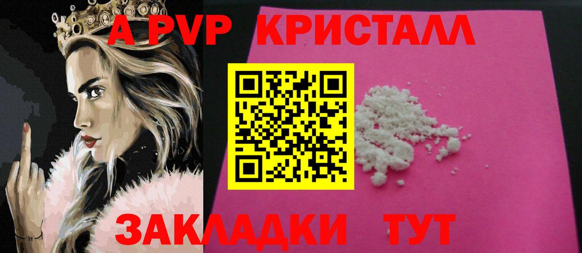 A PVP СК Волгоград