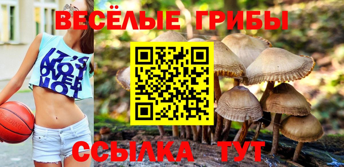 Галлюциногенные грибы MAGIC MUSHROOMS Волгоград